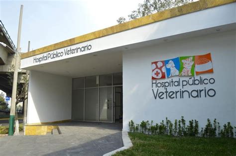 hospital veterinario tomares|MASCOTASALUD SL